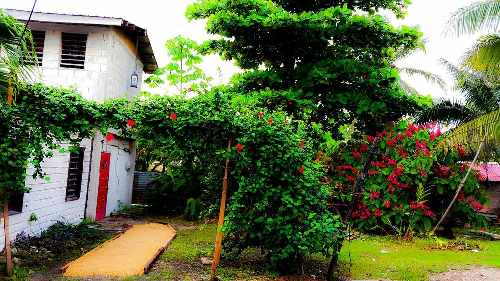Casa Ricky'S Hostel Orange Walk Екстериор снимка